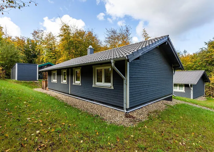 14 * باد آرولزن